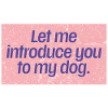 Dog First Impressions