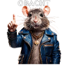 RATTE OBACHT
