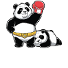 Panda Boxers Duo