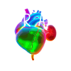 Donneur d’organes