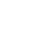 Lion blanc