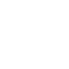 Coach - limited edition