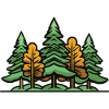 Forest Trees