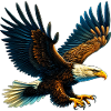 Eagle