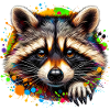 Raccoon