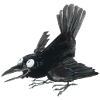 Raven Crow 2