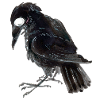 Raven Crow 3