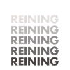 Reiner Reining