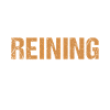 Reiner A Day Without Reining
