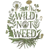 Wild Not Weed - Foraging Botanical Nature Art