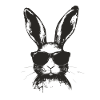Hase mit Sonnenbrille Grunge Monochrom