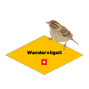Wandervögeli – Schweizer Funshirt für Wanderfans