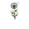 Delicate Dandelion Wishes