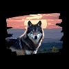 Loup / Wolf