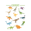 Dino Dinosaur Expert