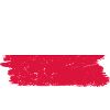 Polish Flag Brush Stroke