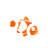 Humour Poisson rouge