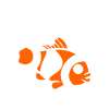 Humour Poisson rouge