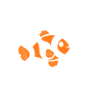 Humour Poisson rouge