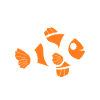 Humour Poisson rouge