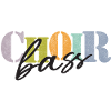 Choir - Bass Singer