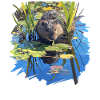 Rat musqué