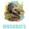 Rat musqué