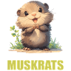 Rat musqué