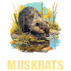 Rat musqué