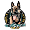 The best Malinois