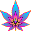 Cannabisblatt - Hanfblatt - Marihuana