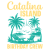 Catalina Island Birthday Crew