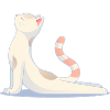 Cat Doing Yoga – Harmony & Balance