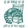 It Is What It Is And It Is Not Great Cool Raccoon