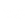 White birds on the branch