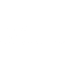 Rouge Definition: Skilled