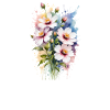 Aquarelle Cosmos Delight