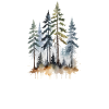 Waldtöne: Aquarell Kiefern