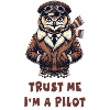 Trust me, I'm a pilot / owl