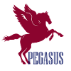Pegasus - Het gevleugelde paard // URBAN STREETWEAR