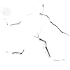 Padel player side white
