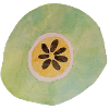 Fruit géant 1