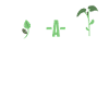 Plant Lover Gardening