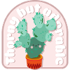 Cactus épineux mais adorable