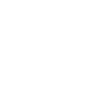 Tiger Boxing Fighter MMA