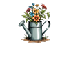 Watering Can Bloom