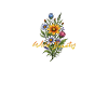 Wild Beauty Bouquet