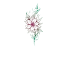 Delicate Floral Line Art
