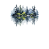 Aquarelle Pin Reflet