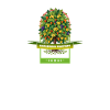Gardening Mastery Fruit Tree